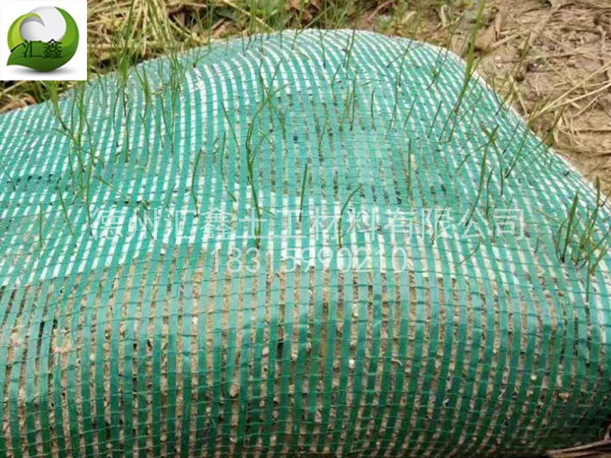植生袋可以应用在什么地方?(图3) 植生袋可以应用在什么地方?(图3)