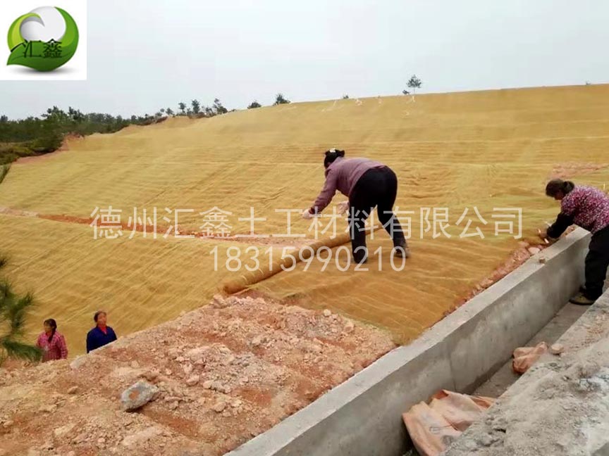 植生毯铺设在边坡有什么作用?(图3) 植生毯铺设在边坡有什么作用?(图3)