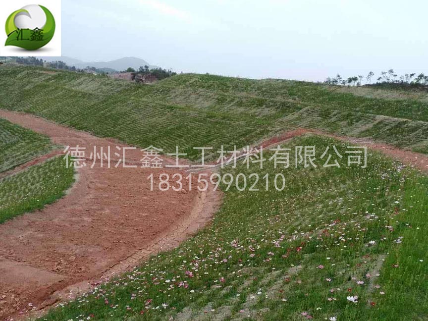 生态护坡毯的铺设效果是什么样的?(图1) 生态护坡毯的铺设效果是什么样的?(图1)