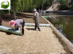 生态护坡毯易养护